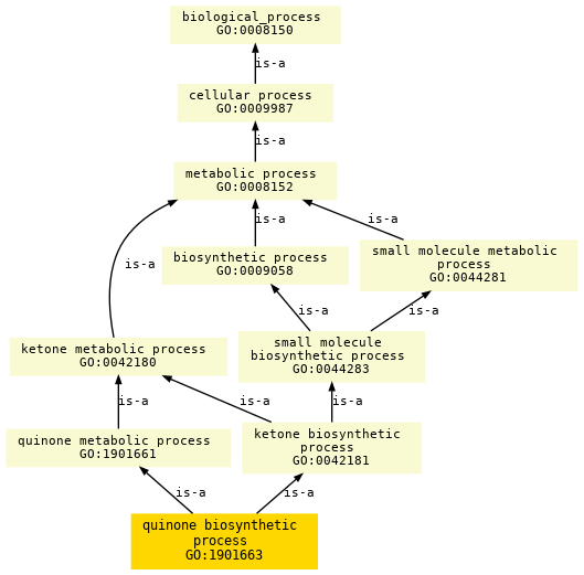 paths to the root