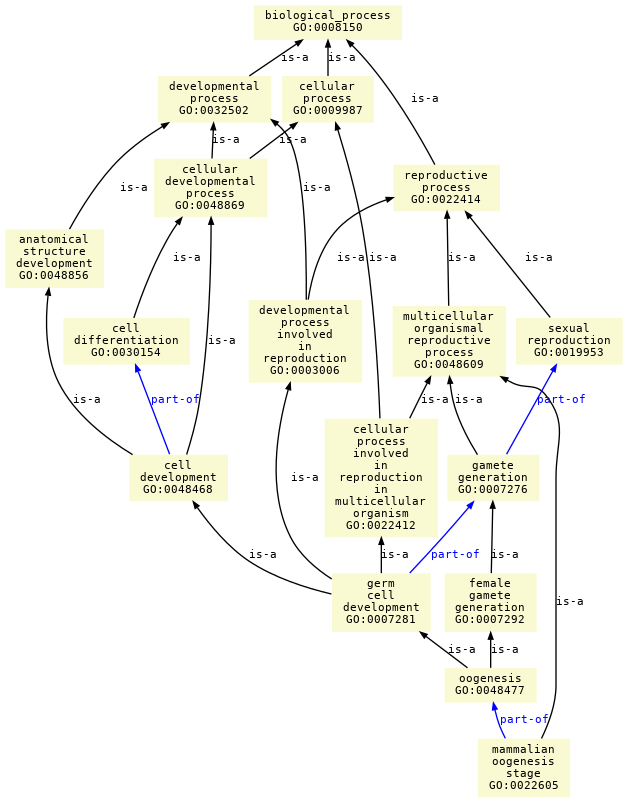 paths to the root