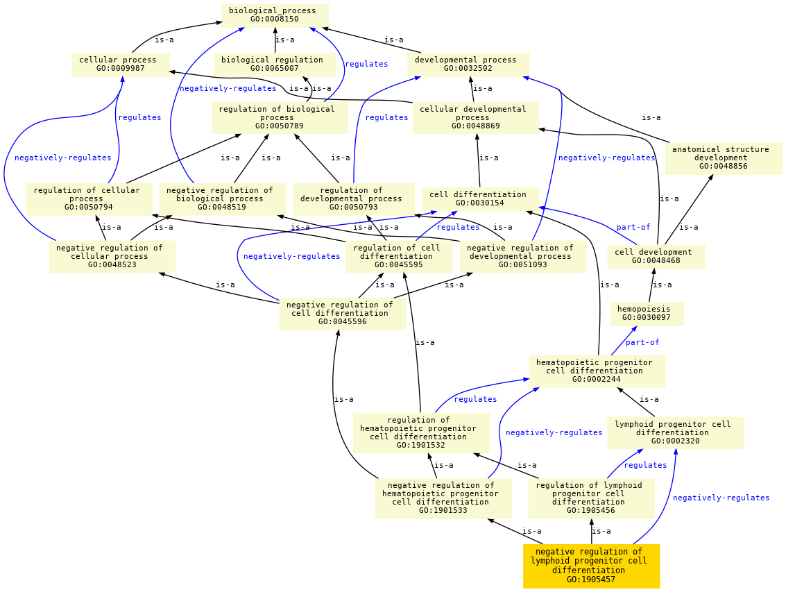 paths to the root