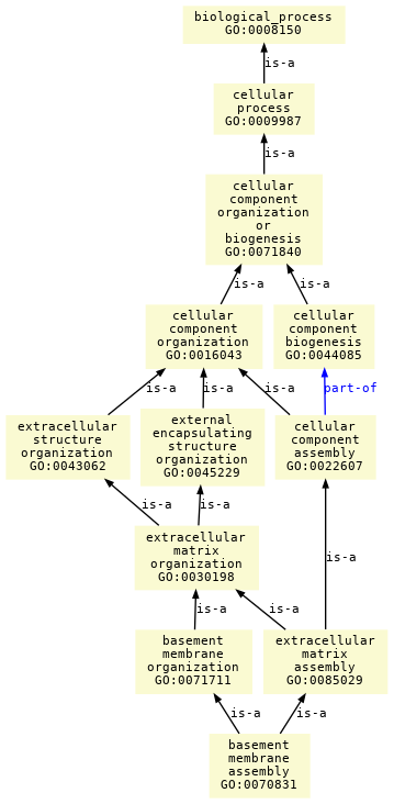 paths to the root