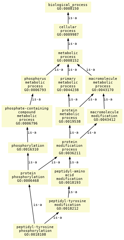 paths to the root