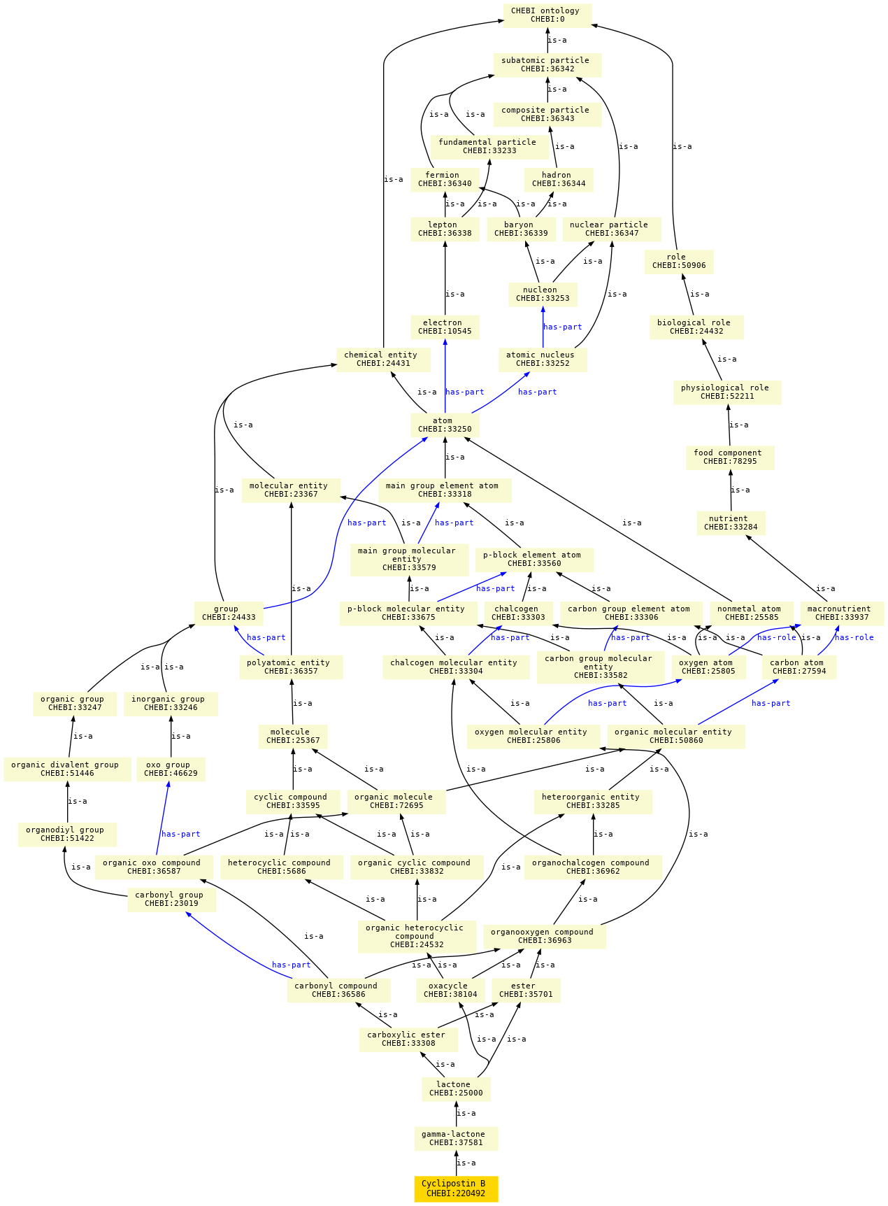 paths to the root