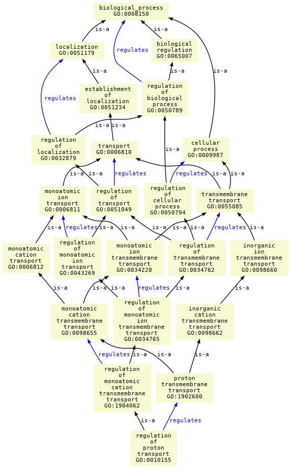 paths to the root