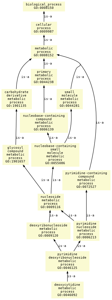 paths to the root