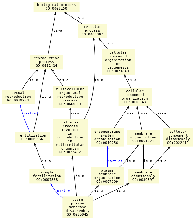 paths to the root