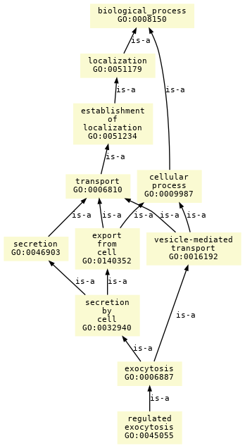 paths to the root