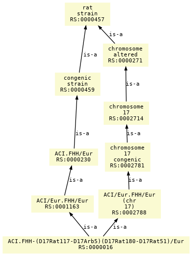 paths to the root