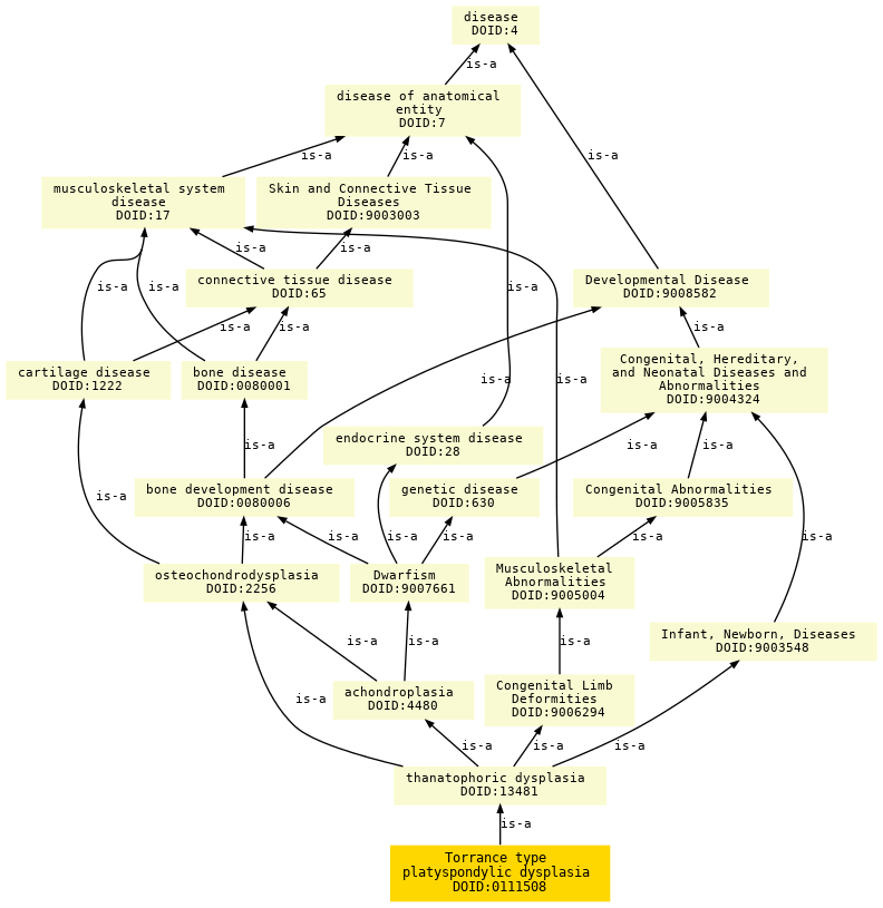 paths to the root