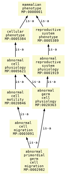 paths to the root