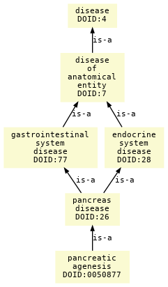 paths to the root