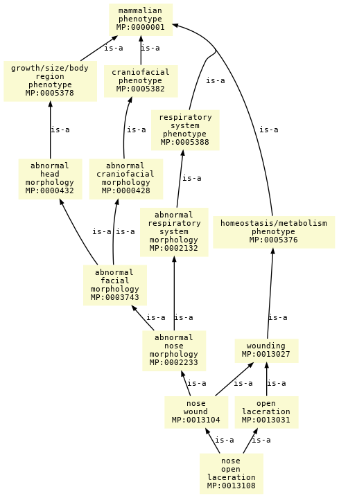 paths to the root