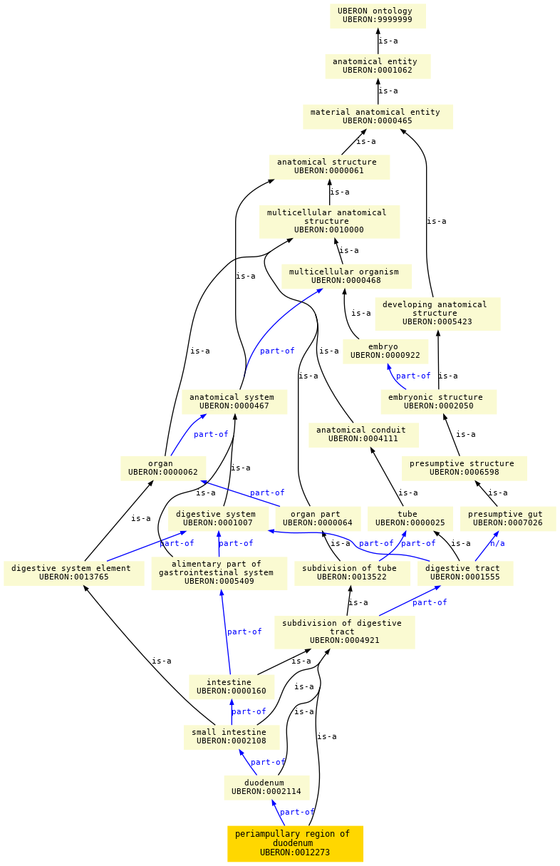 paths to the root