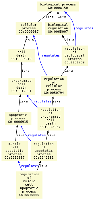 paths to the root