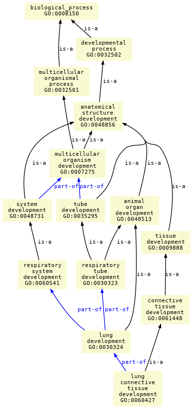 paths to the root