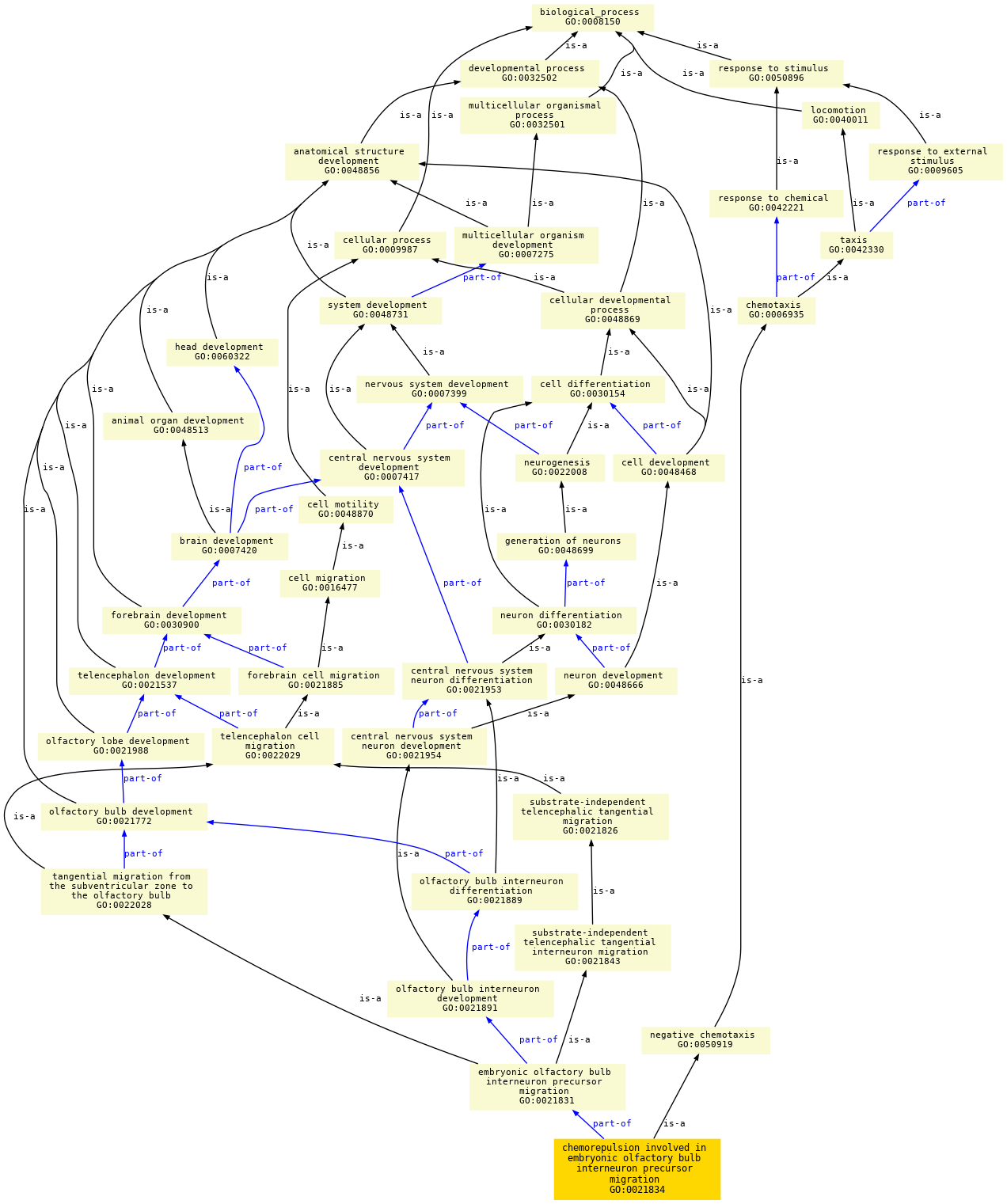 paths to the root