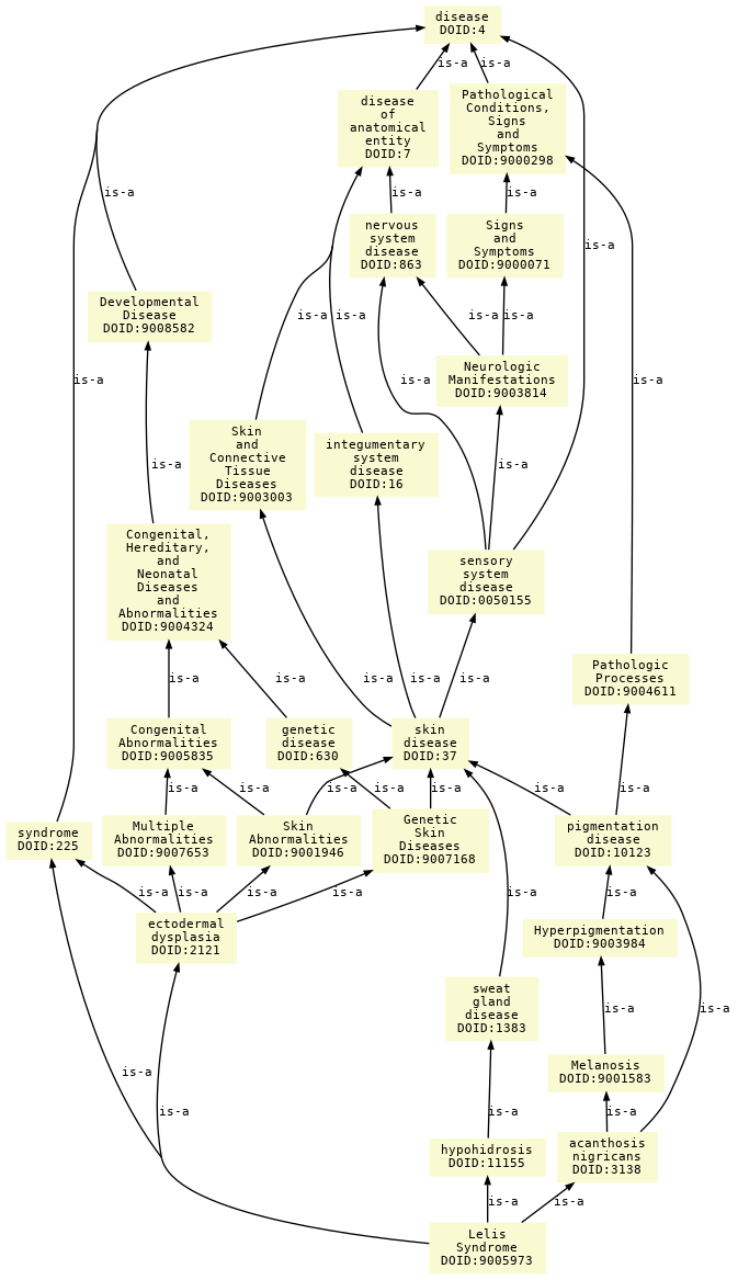 paths to the root