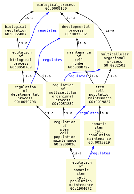 paths to the root