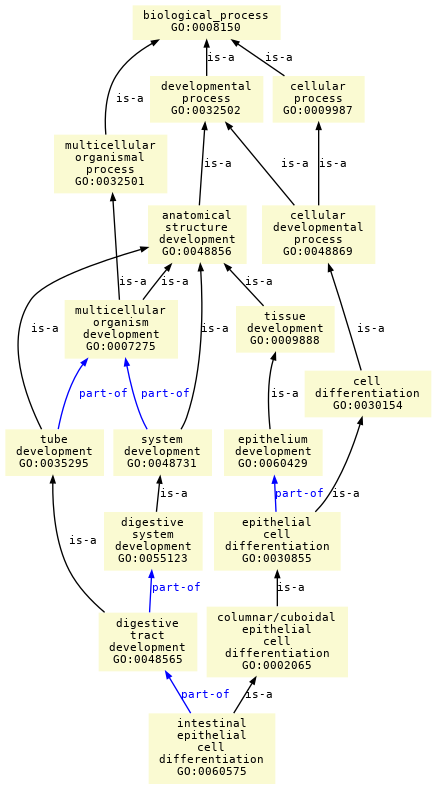 paths to the root