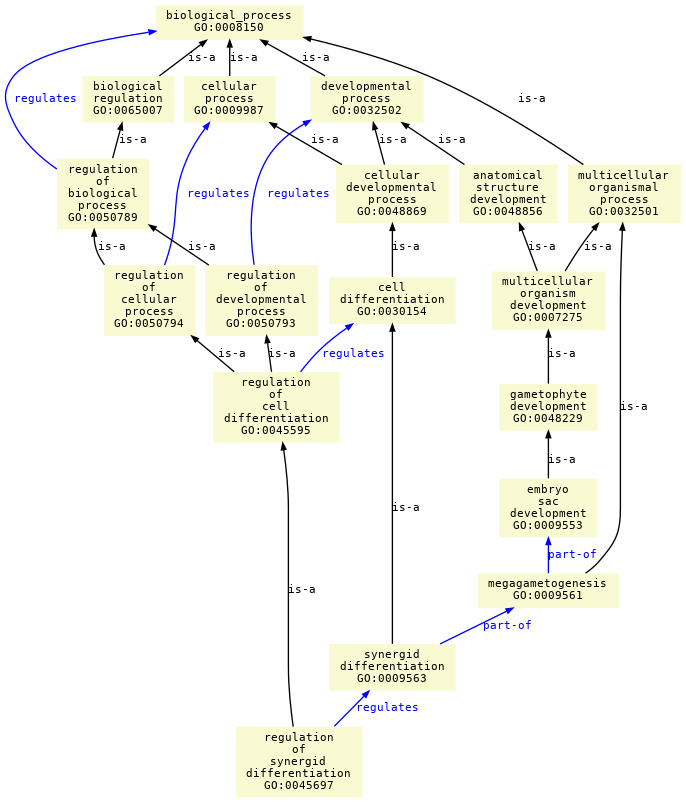 paths to the root