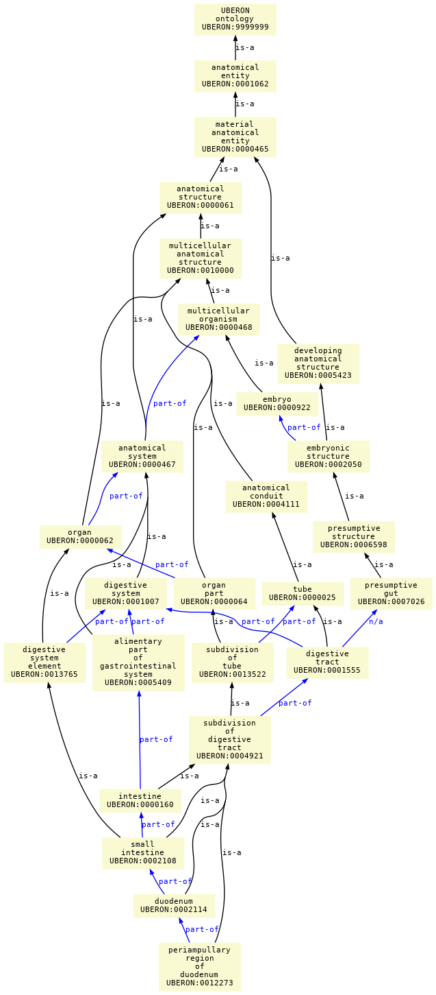 paths to the root