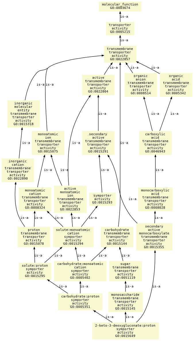 paths to the root