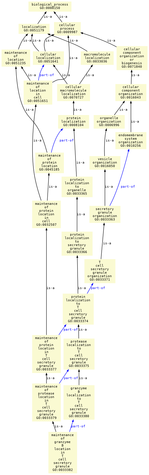 paths to the root