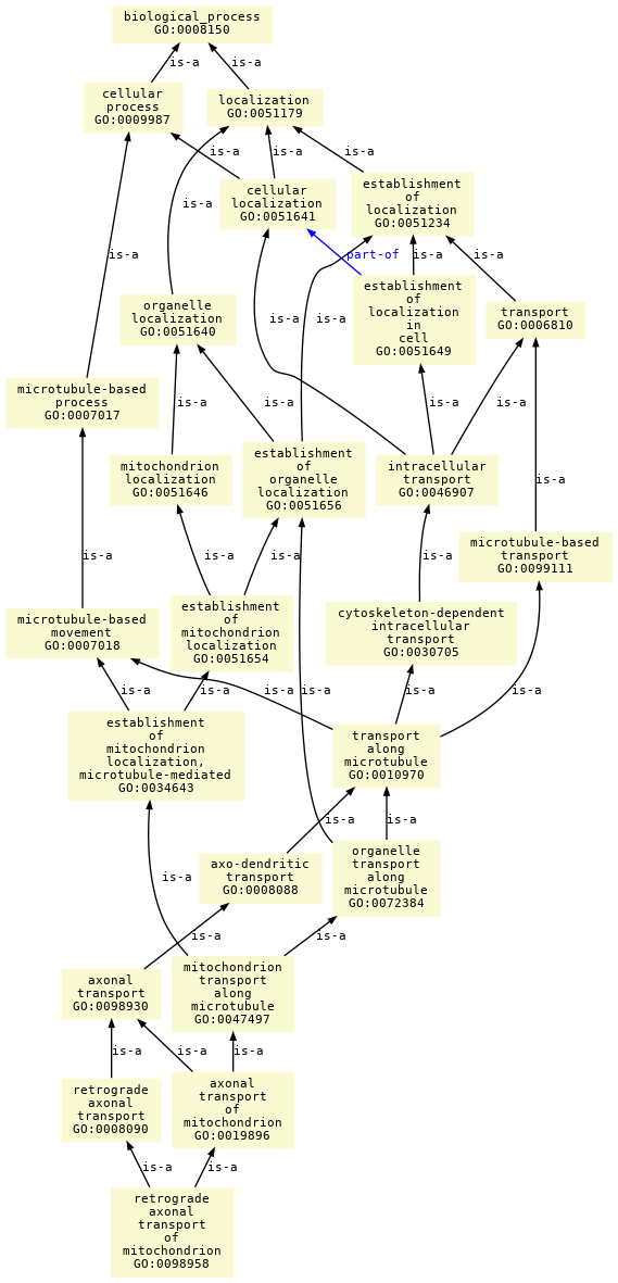 paths to the root