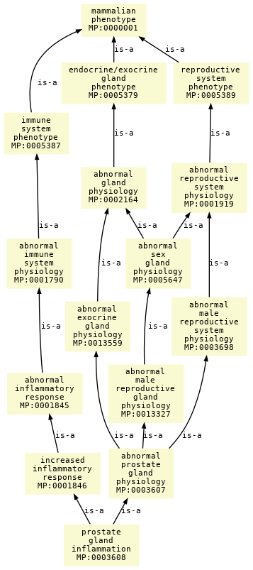 paths to the root