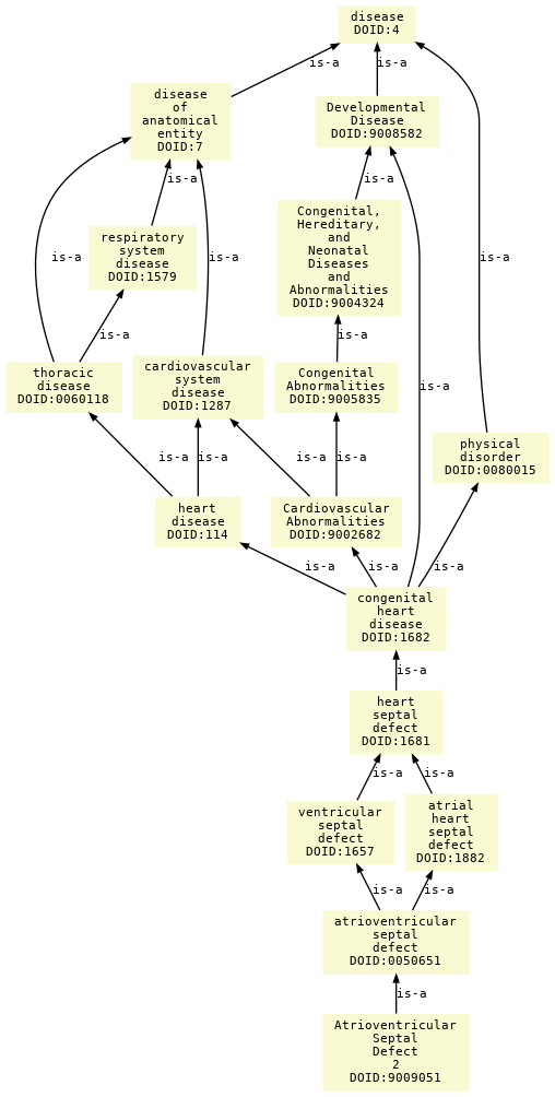 paths to the root