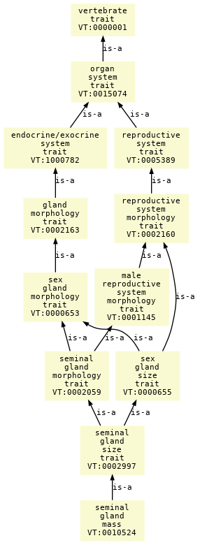 paths to the root