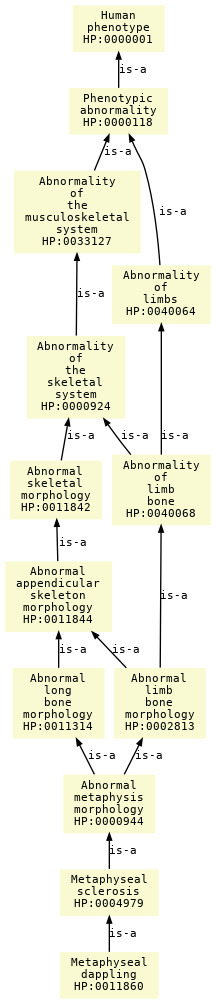 paths to the root