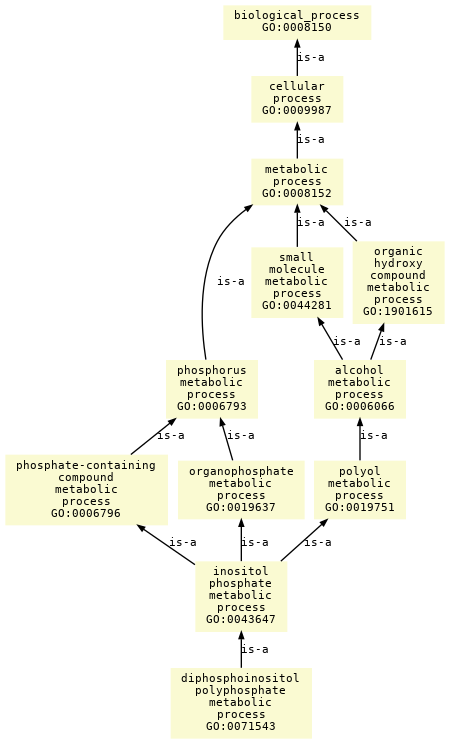 paths to the root