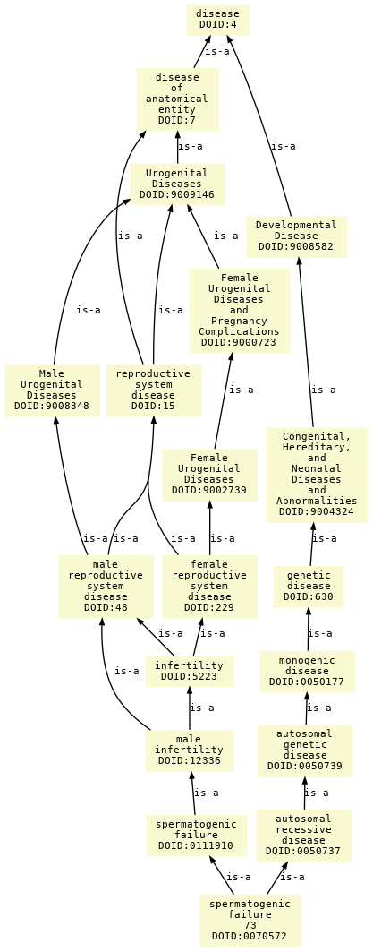 paths to the root