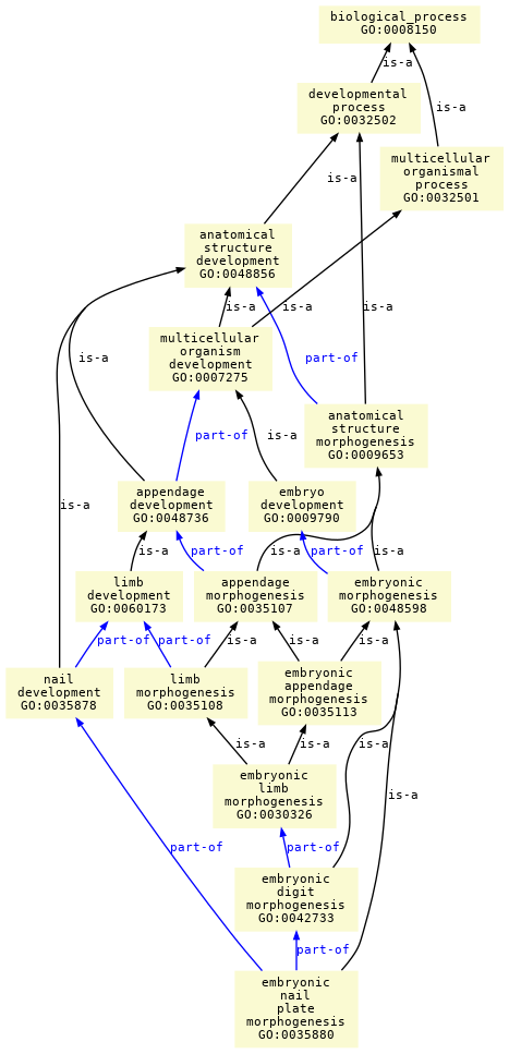 paths to the root