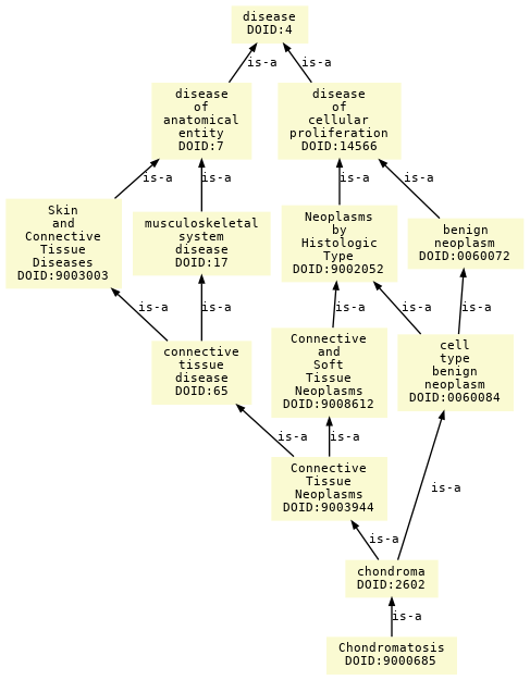 paths to the root