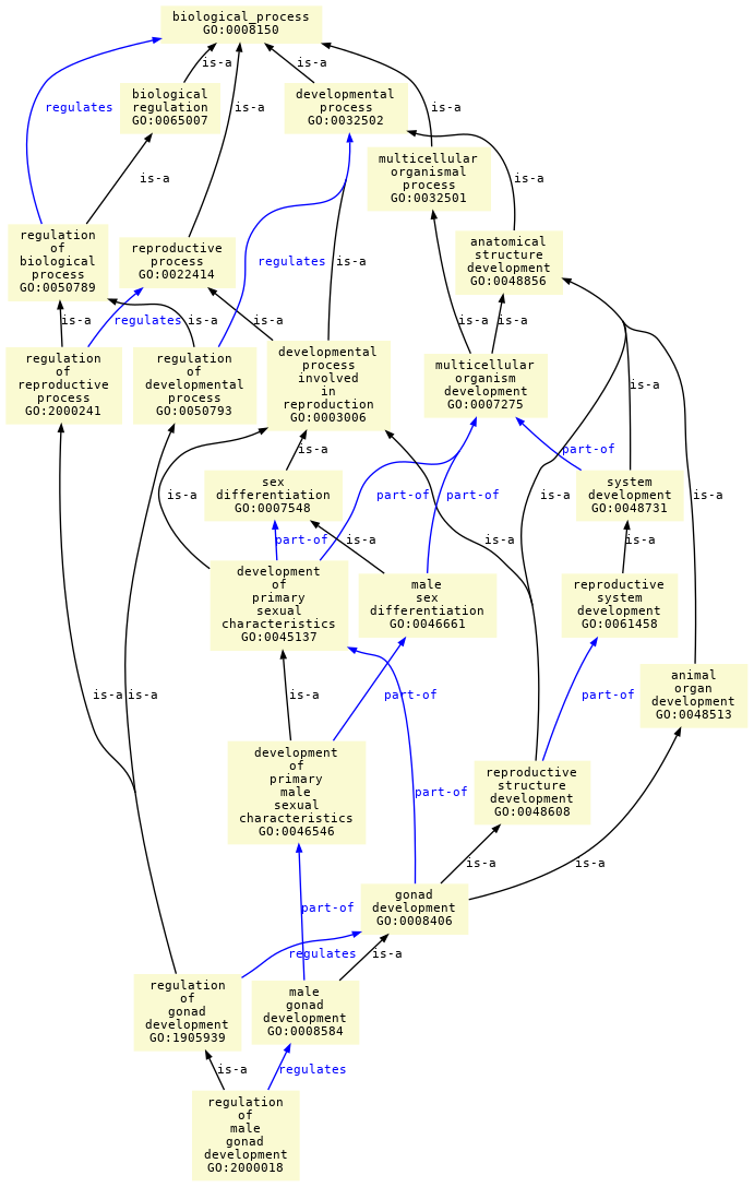 paths to the root