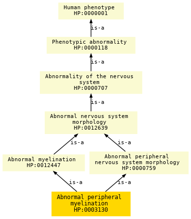 paths to the root