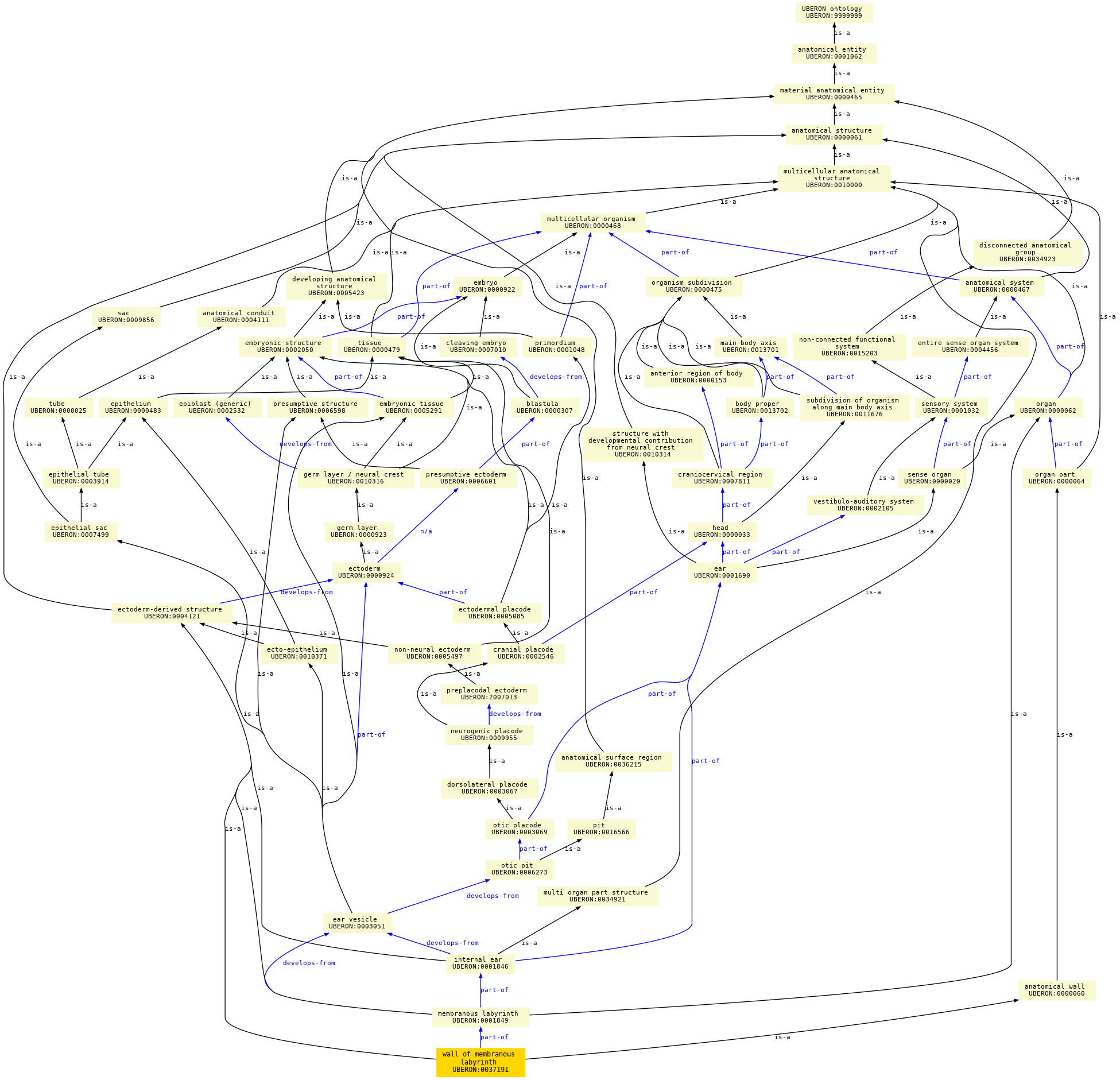 paths to the root