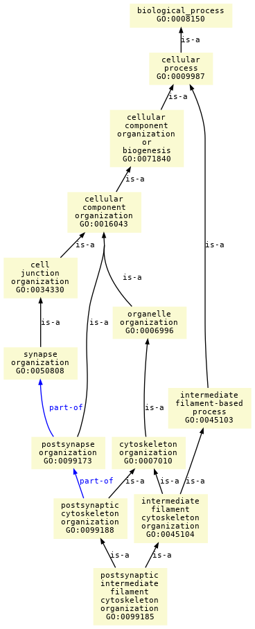 paths to the root