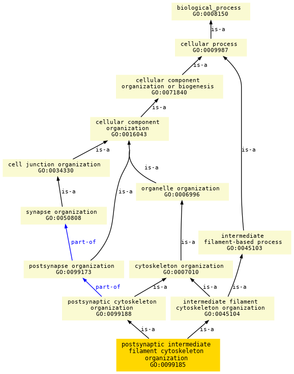 paths to the root