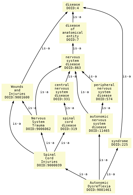 paths to the root