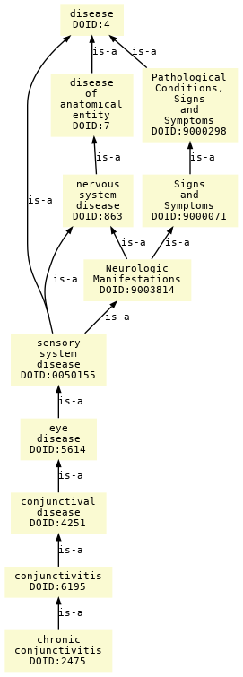 paths to the root