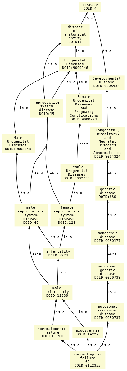 paths to the root