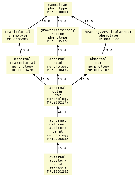 paths to the root