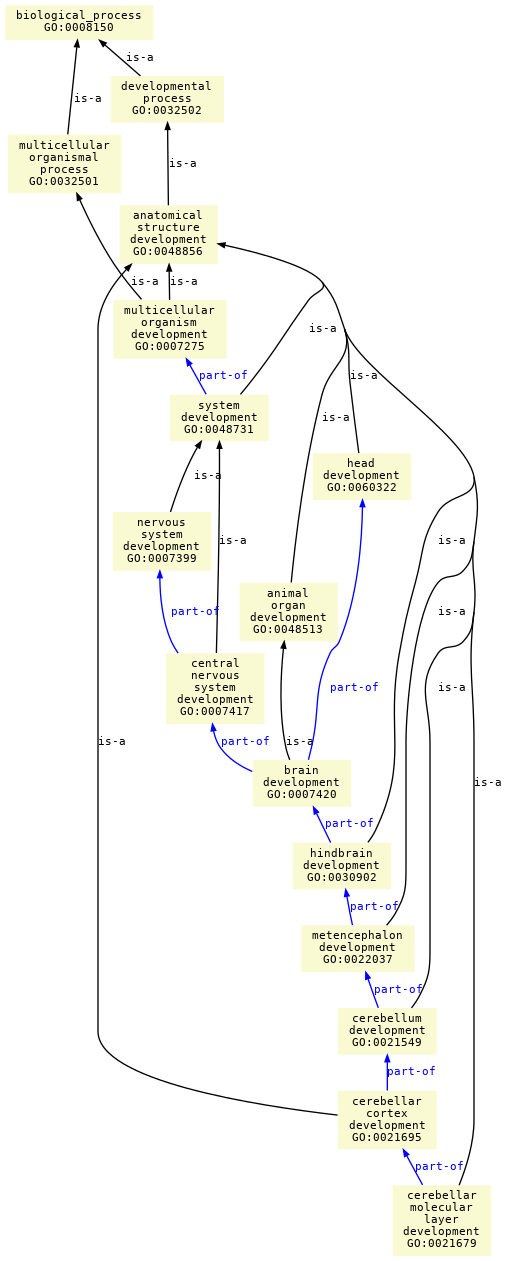 paths to the root