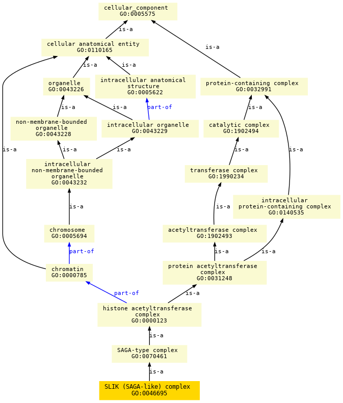 paths to the root