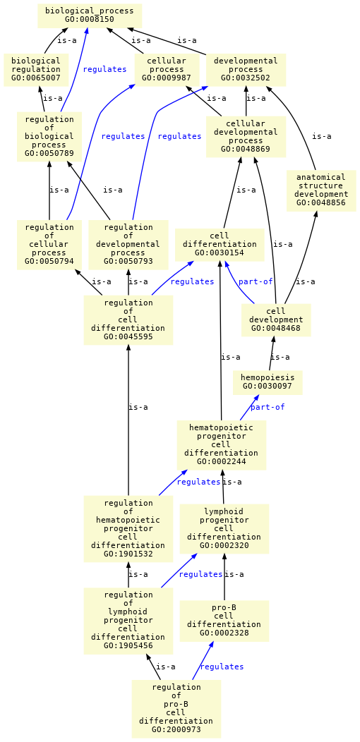 paths to the root