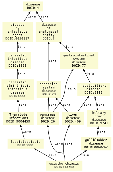 paths to the root