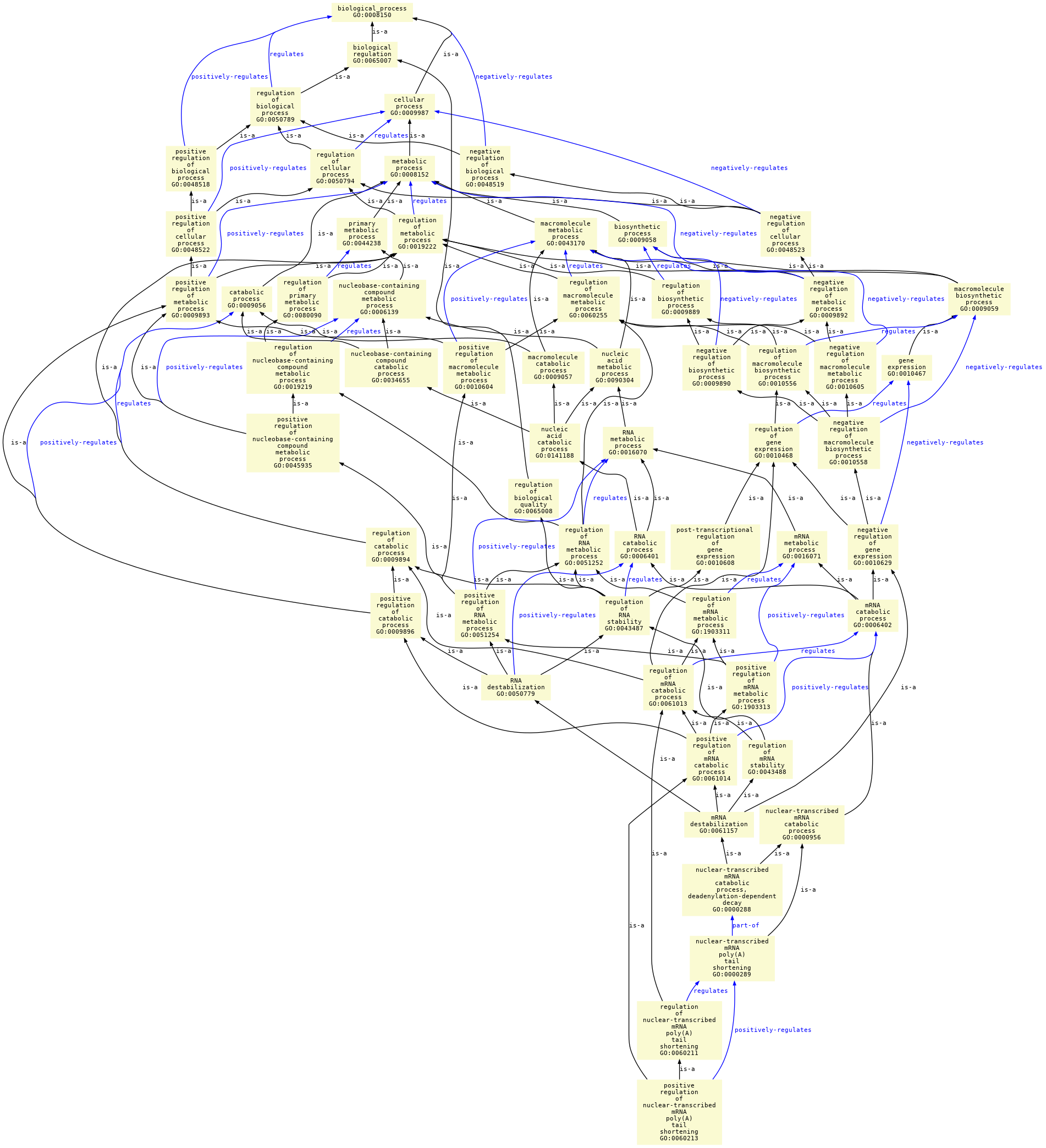 paths to the root