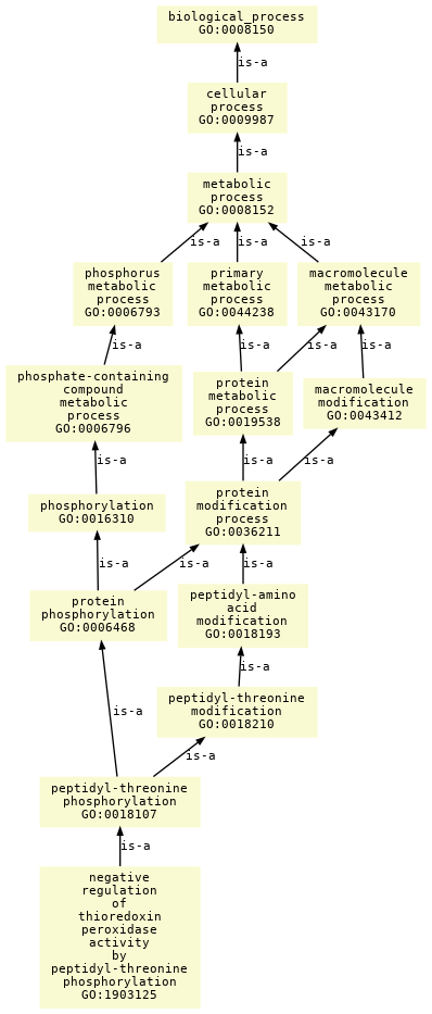 paths to the root